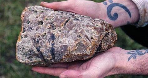 Ambergris, The 'Whale Vomit' That's More Valuable .